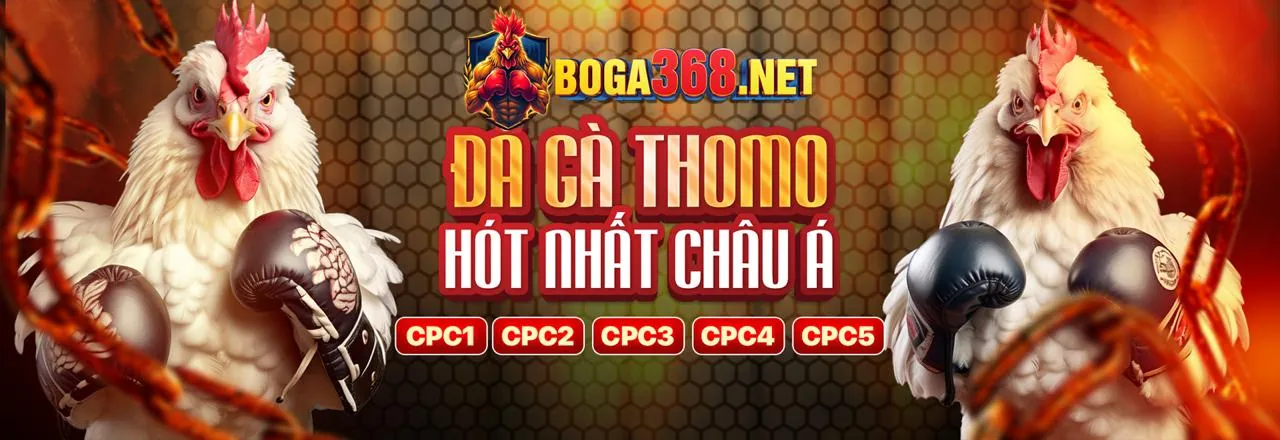 Tổng quan các dịch vụ cốt lõi của 66b link vào